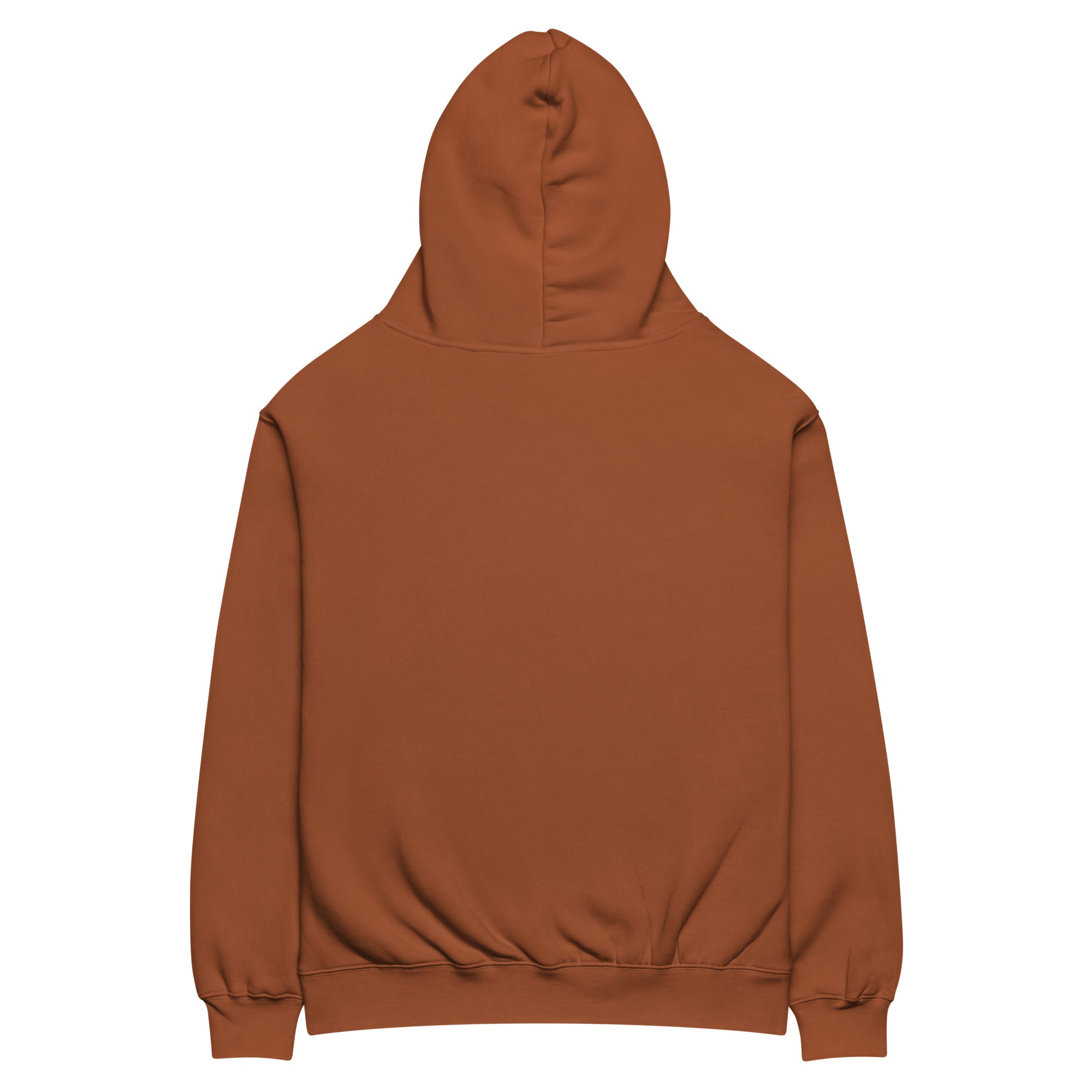 Brown oversized Nöiré hoodie, back product view, minimalist streetwear fashion