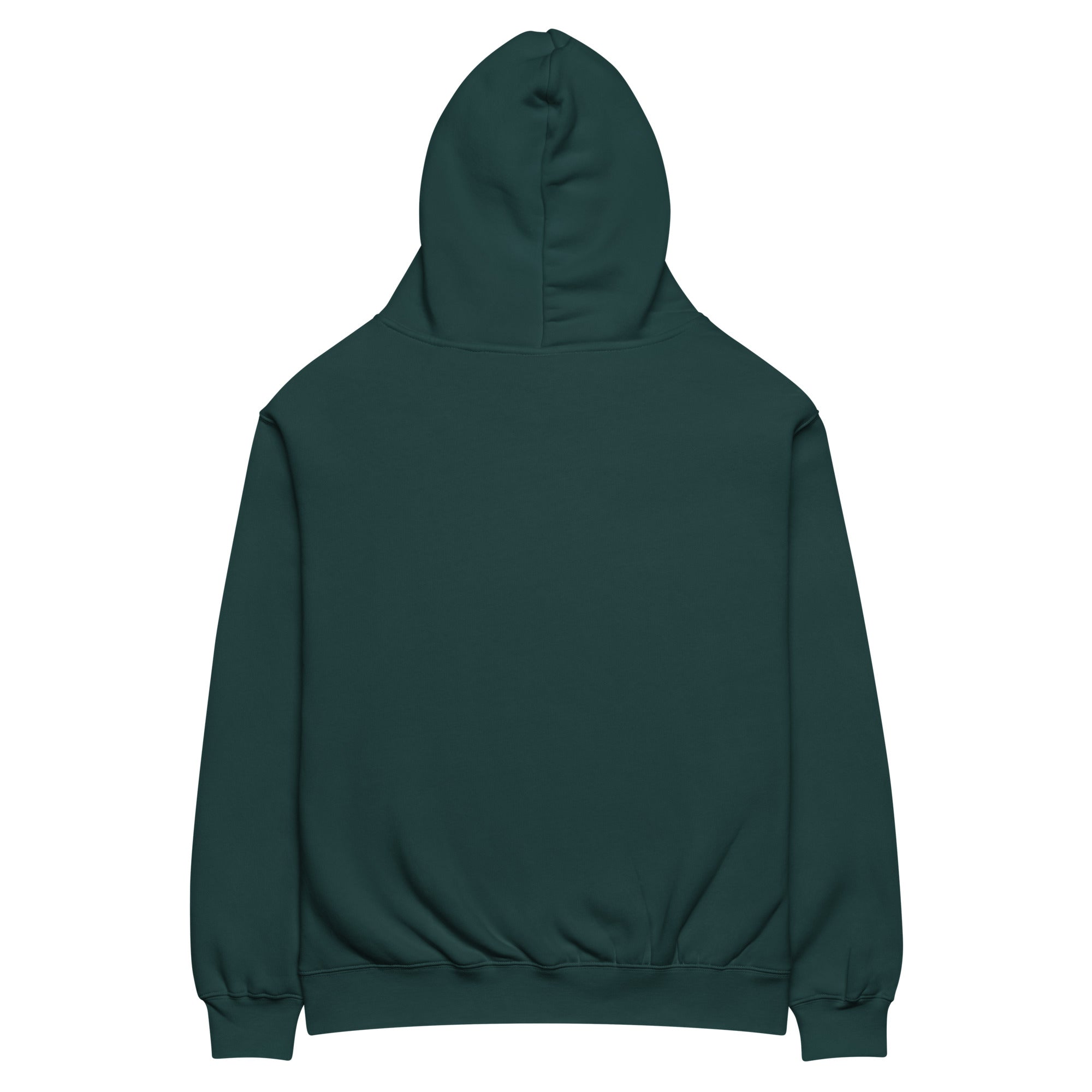 Dark green oversized Nöiré hoodie, back product view, minimalist streetwear fashion